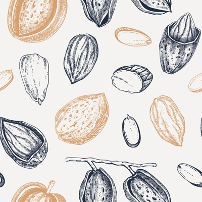 Almond sketched background. Nuts seamless pattern. Vintage branches with nuts, nutshells, almond slices sketches. Hand drawn vector illustration. Healthy food, vegan ingredients, packaging design